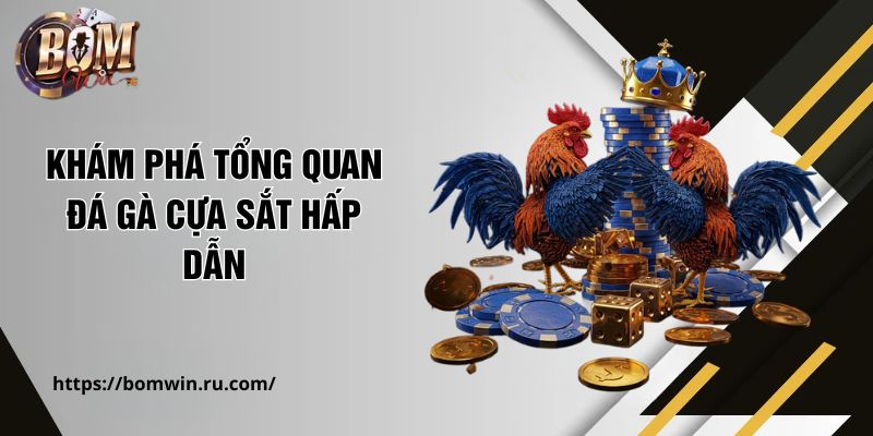 Khám phá tổng quan đá gà cựa sắt hấp dẫn